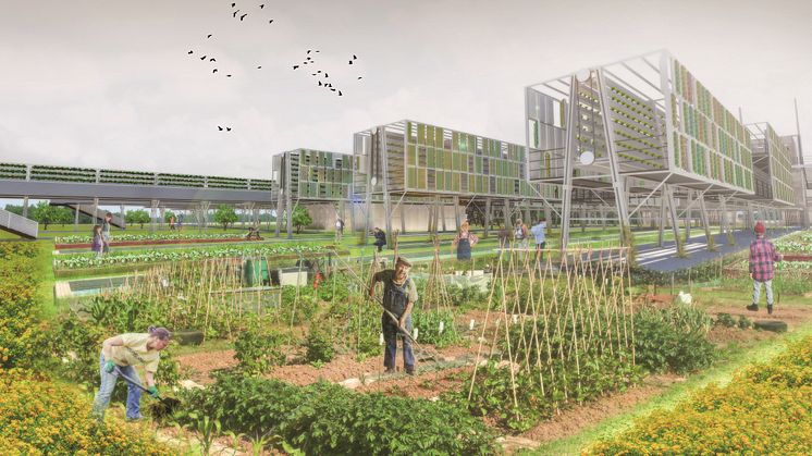 Architecture students reveal urban farm