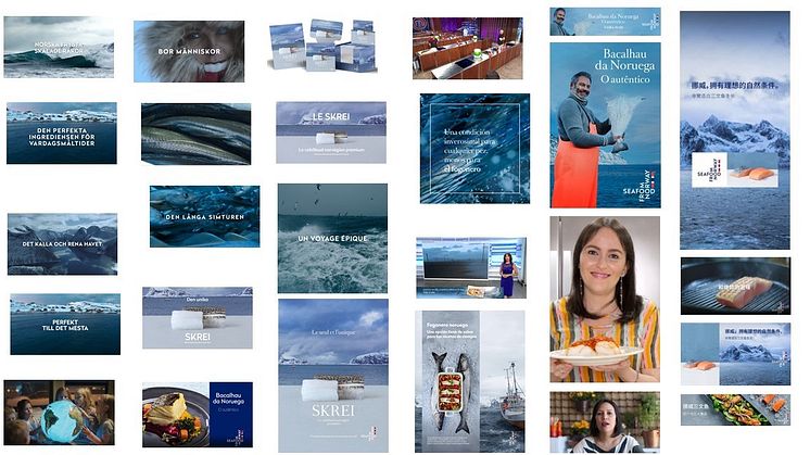 Et lite utvalg fra noen av fjorårets sjømatkampanjer som ble kjørt i 27 land.