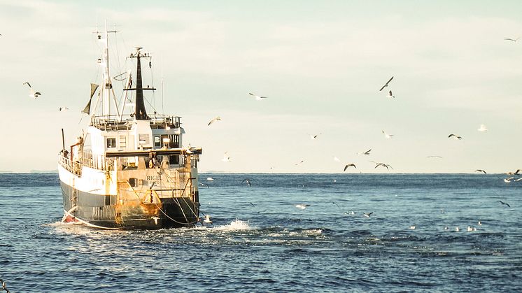 ​EU och Norge överens om fiskekvoter för 2016