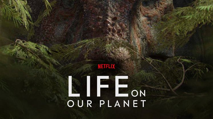 Life on Our Planet premieres on Netflix on Wednesday 25 October. Image courtesy of Silverback Films/Netflix