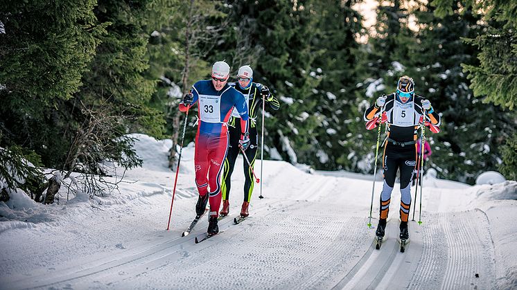 Flere toppløpere er klare for årets Trysil Skimaraton. Foto: Hans Martin Nysæter