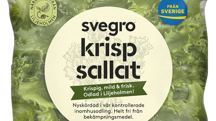 Svegro ingår samarbete för att utöka svenska självförsörjningen av sallat