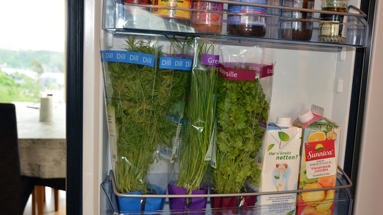 Kjøleskapet gir dill, gressløk og persille et lengre liv