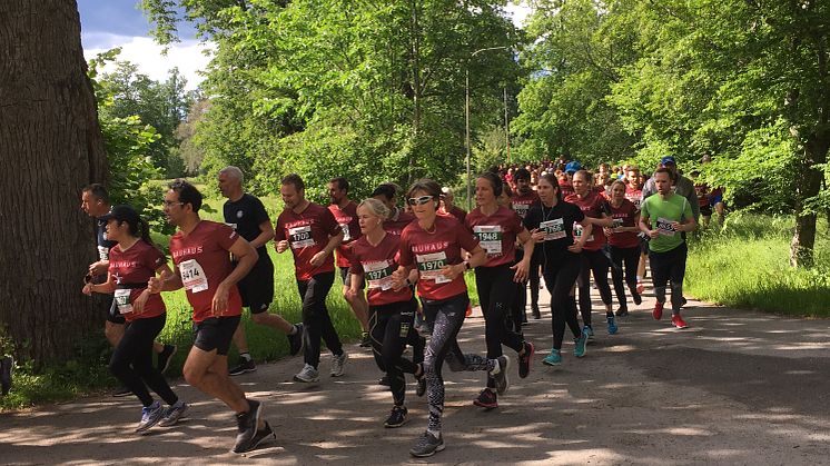 Nypremiär av Blodomloppet lockar 11 000 löpare i Stockholm