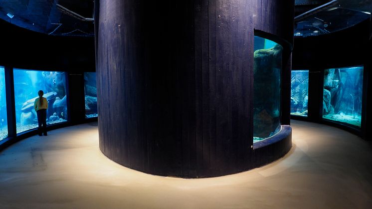 Akvarier i den djupa delen av Havets Hus, foto: Roger Jansson /Havets Hus