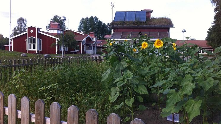 Vallens miljöskola i Sundsvall vann KRAVs pris Årets hållbara offentliga restaurang.