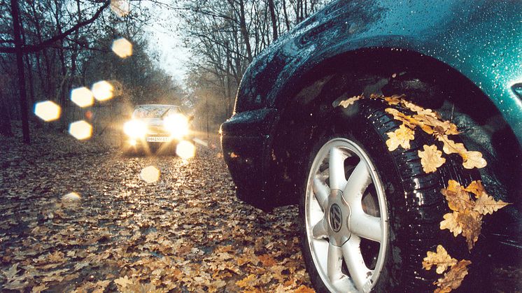 Der Herbst kommt, und darauf sollte man auch sein Auto vorbereiten. Foto: SIGNAL IDUNA