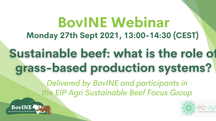 What is sustainable beef production? Are grass-based systems sustainable?