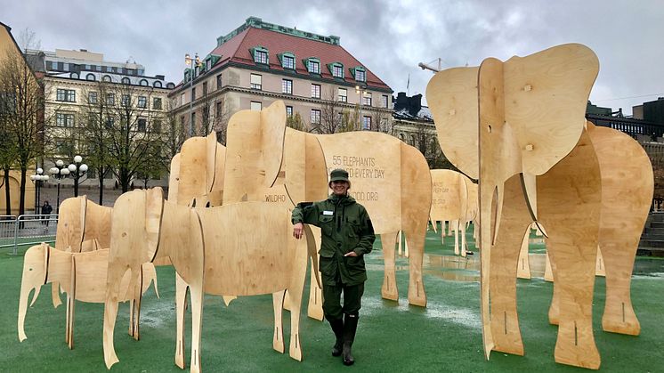 Filippa Tarras-Wahlberg är grundare av Wildhood Foundation. Här på plats med elefanterna i Kungsträdgården där installationen "55 elefanter" går att besöka mellan 2-5 maj 2019. Foto: Securitas Sverige AB.