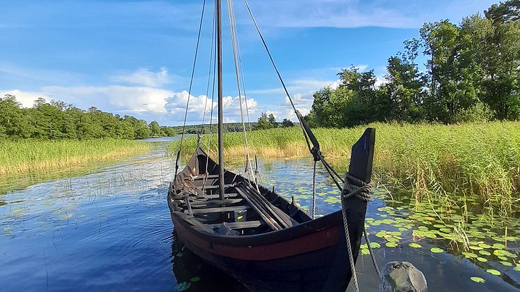 Fynden på platsen, som avslöjar ett vikingatida maritimt kulturlandskap, består bland annat av stora mängder både oanvända och begagnade båtnitar, brynen av skiffer och verktyg. På bilden ett rekonstruerat vikingaskepp på Birka. Foto: Sven Isaksson