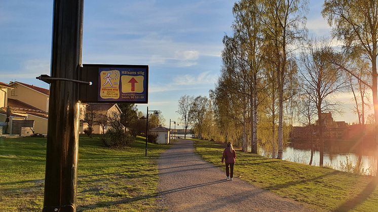 Ny sträckning för Hälsans stig i centrala Skellefteå. Den går som en sju kilometer lång slinga på södra och norra sidan om Skellefteälven mellan Lejonströmsbron i väster och Älvsbackabron i öster.