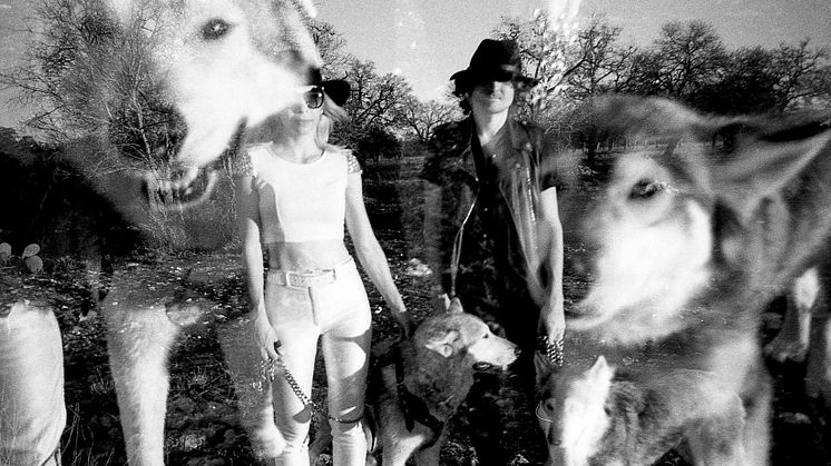 The Ghost Wolves   ( Photo: Jaqueline Badeaux)