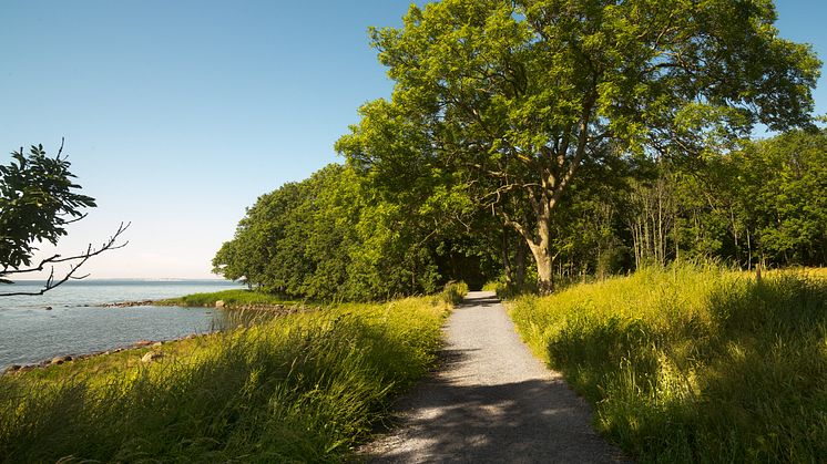 Søndre Jeløy landskapsvernområde blir ny hovedarena for Momentumbiennalen. Foto: Eivind Lauritzen / Momentum
