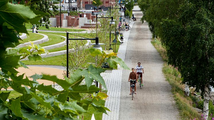Umeå uppstickare när finalen av Europeisk miljöhuvudstad avgörs
