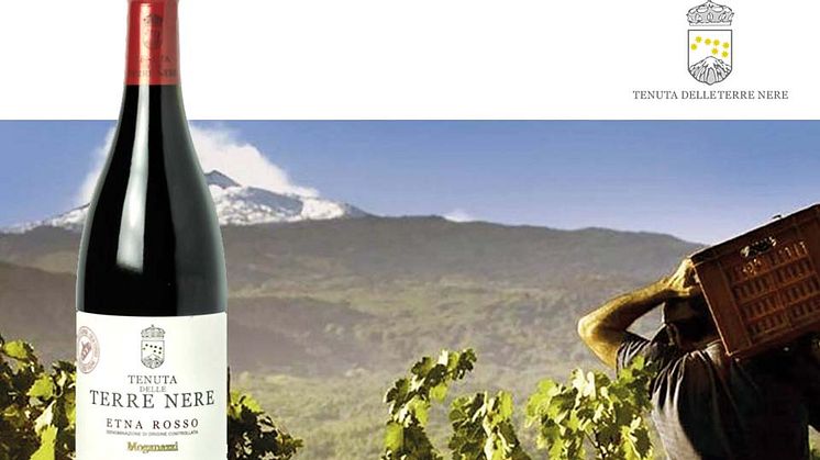 Webblansering av viner från Etnaproducenten Tenuta delle Terre Nere