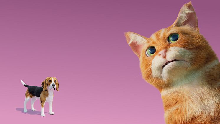 Hund und Katze machen im neuen TV-Spot der Felix Burda Stiftung auf die Darmkrebsvorsorge aufmerksam.