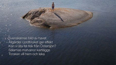 Så mår Sveriges hav  - ny rapport ger svaren