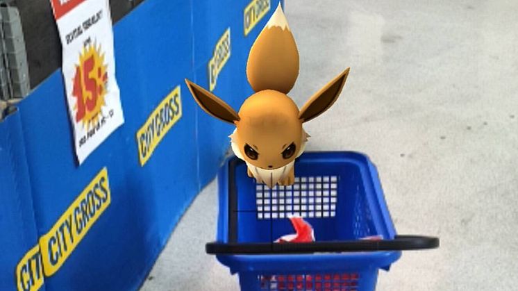 Fler bilder som deltar i City Gross Pokémon Go-tävling finns på Instagram (#citygrospokemon).