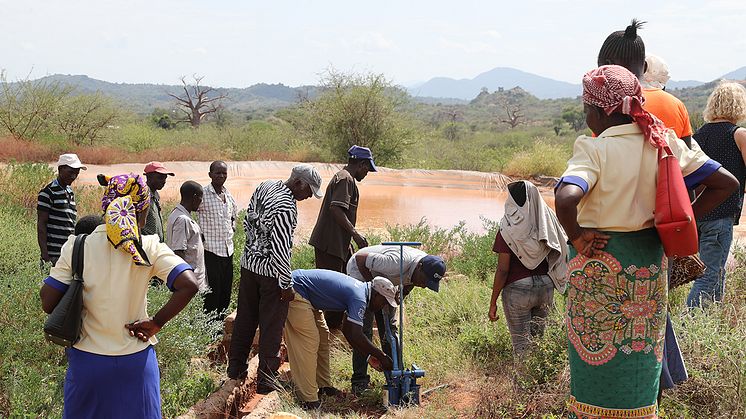 Manyirani jordbruksprojekt i Kenya får stöd genom Svenska missionsrådets särskilda satsning på resiliens. Foto: Job Mainye