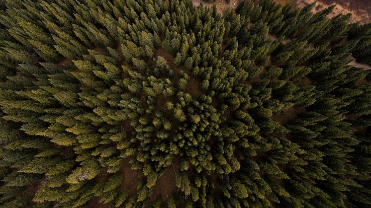 ELMIA WOOD  PRESSINBJUDAN 2022 Framtidens innovativa och hållbara skogsbruk