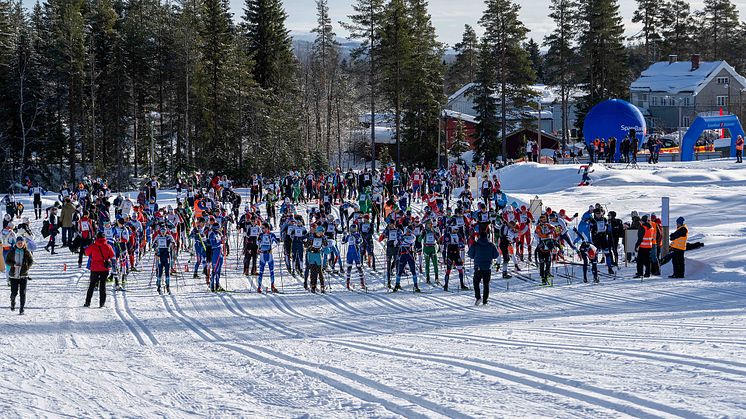 Nesten 500 deltakere på årets Trysil Skimaraton på Østby i dag. Foto: Jonas Sjögren
