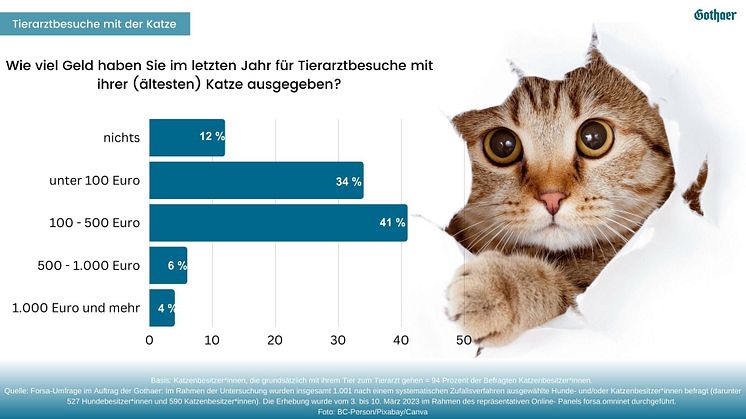 Gothaer Studie: Kosten für Tierarztbesuche mit Katze