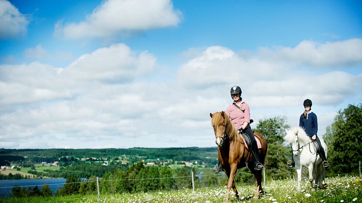​St. Olavsleden on horseback from Sweden to Norway