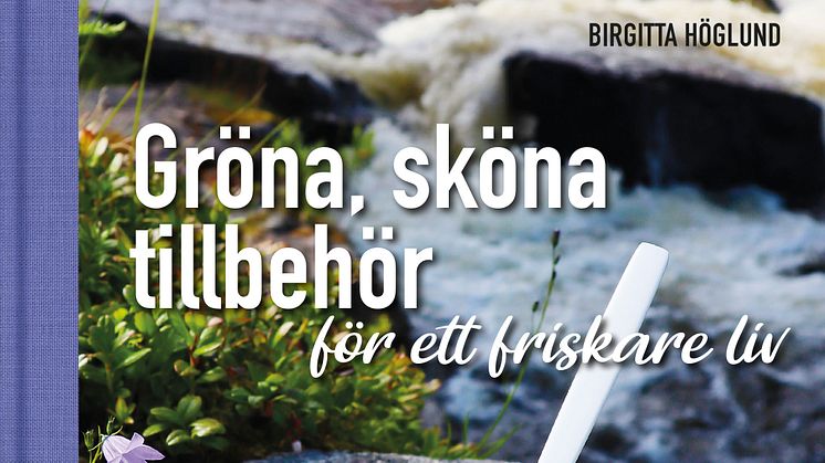 Framsidesbild Gröna, sköna tillbehör av Birgitta Höglund