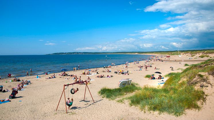 Vilshärad strand i Halmstad - en populär familjestrand.