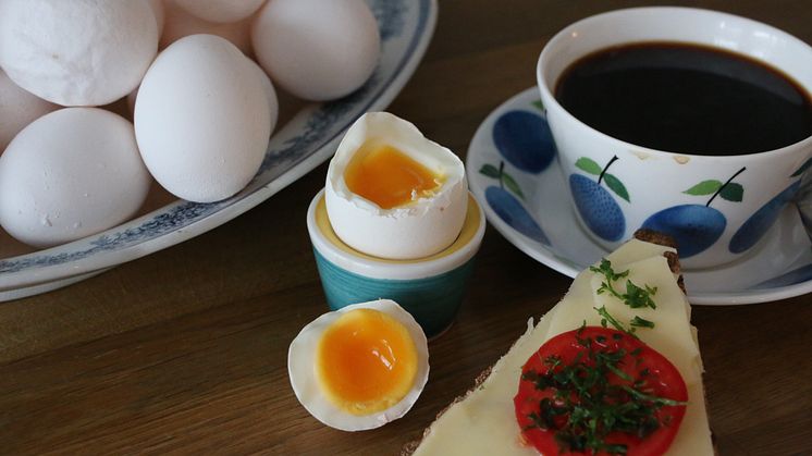 När fågelinfluensan drabbade Sverige 2021 sjönk produktionen av ägg med 14 procent och importen ökade med 24 procent, för att täcka bortfallet av svenska ägg. I butik syntes då ägg från andra EU-länder. Foto: Åsa Lannhard.
