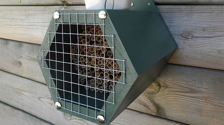 Bihotellet har ett skyddande nät på framsidan, som förhindrar fåglar från att nå in till bina.