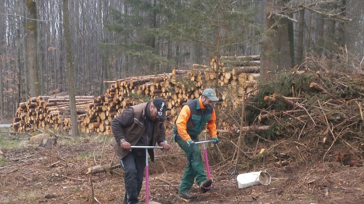 Neue Bäume für Dolgowitz am Rotstein