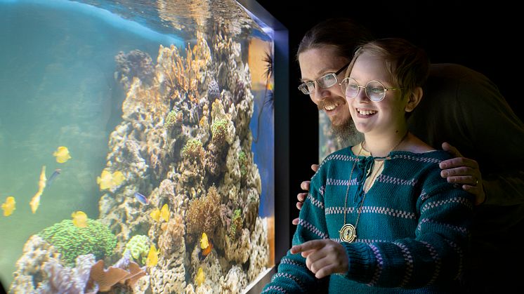 Sjöfartsmuseet Akvariet: nya akvariehallen