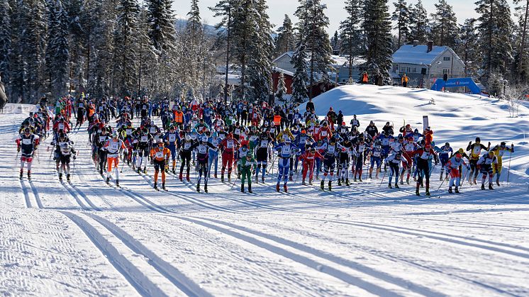 444 deltakere på startstreken under Trysil Skimaraton. Foto: Jonas Sjögren/Trysil