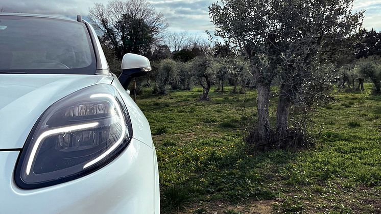 Ford on tutkinut sadonkorjuun aikana kertyneen oliviipuujätteen käyttöä autonosien valmistukseen 
