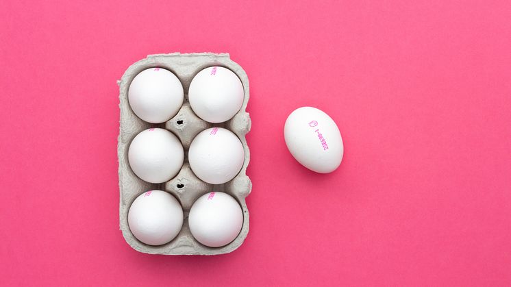 Från och med 8 december tillåts svenska ägg att säljas 28 dagar, från värpningsdagen räknat, istället för 21 dagar. Foto: Svenska Ägg
