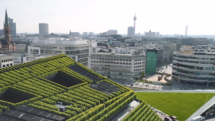 Kontorkomplekset KII er Europas grønneste fasade