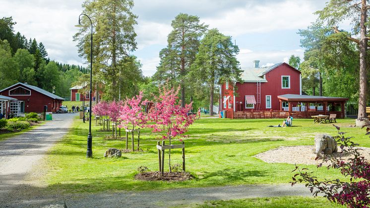 ​Den 12 juni öppnade Umeå Energicentrum i Klabböle – ett av sommar-Umeås populäraste besöksmål. 