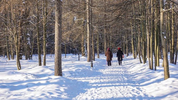 Två personer promenerar i snötäckt skog