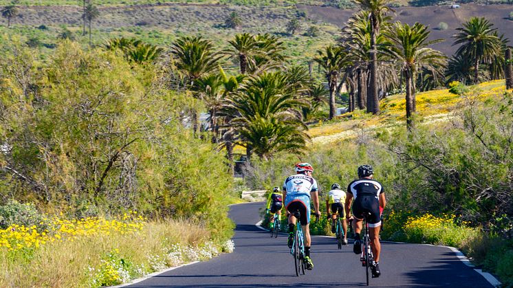 Längs Kanarieöarnas idylliska cykelrutter är en perfekt plats att fira cyklens dag på. Foto: The Canary Islands. 