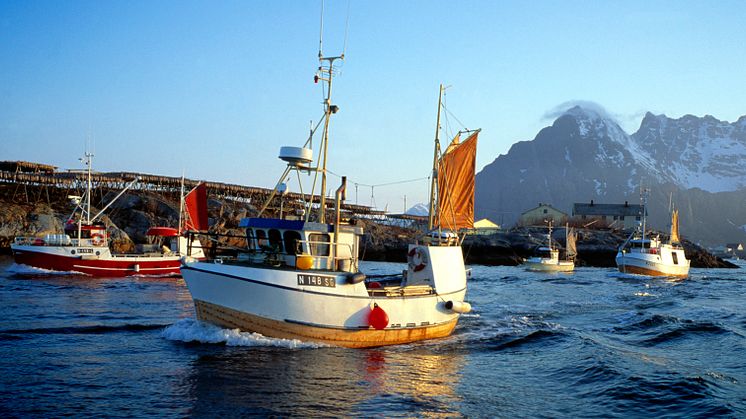 Tidenes beste halvår for norsk sjømateksport