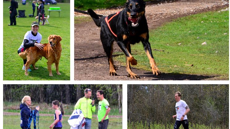 Femte året för hundvänliga motionsloppet Hundlöpet