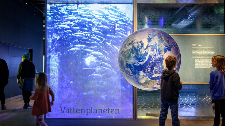 Utforska havet med alla sinnen på nya Sjöfartsmuseet Akvariet. Foto: Kristin Lidell
