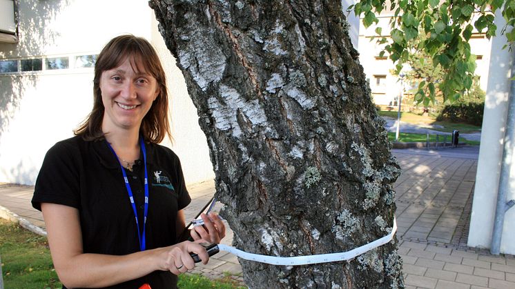 - Vi måste värna om inte minst de väletablerade träden med sina stora rotsystem och bladverk, säger utemiljöcontroller Ivana Rydén på Bostads AB Poseidon.