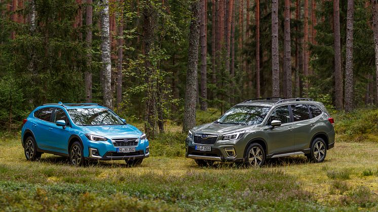 Subaru satser stort på Danmark – prisfald på alle modeller!
