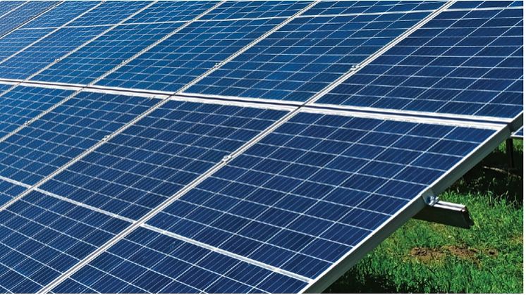Vendolux har adgang til 500 000 solcellepaneler i måneden