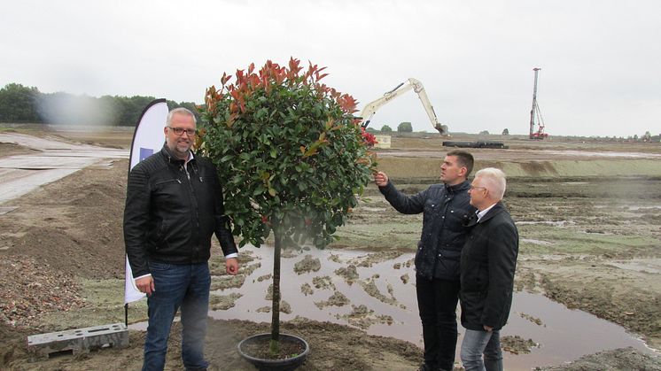 de eerste boom op Tholen is geplant