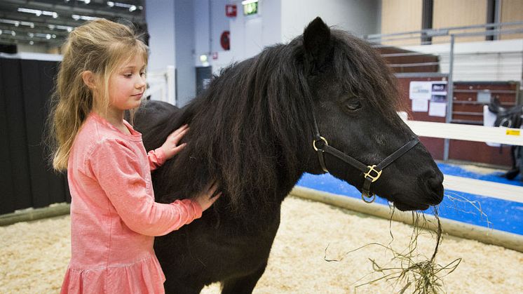 På EuroHorse finns allt för dem som älskar hästar. Foto: Anna Sigvardsson Högborg.