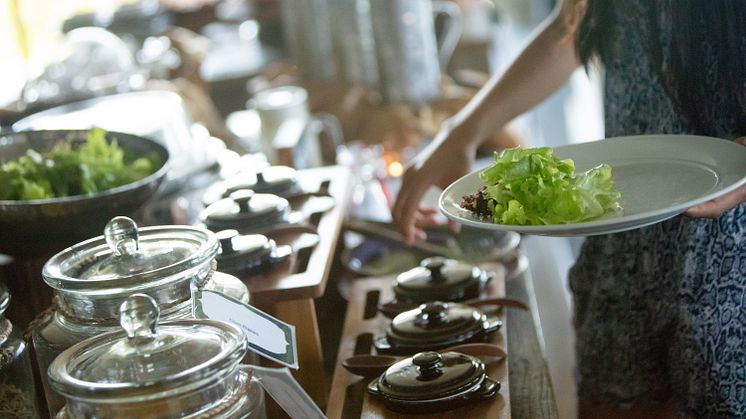 Det offisielle miljømerket i Norden, Svanemerket, har nylig strammet inn miljøkravene til restauranter, kantiner og konferansesteder uten overnatting. Økt vekt på reduksjon av matsvinn er en av de viktigste endringene.