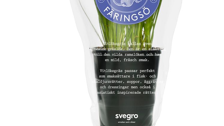 Svegro Vilda Smaker - ekologiskt vitlöksgräs 